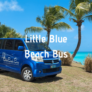 Our complimentary beach shuttle will whisk you away to other nearby South Coast beaches for you to explore.  Shuttle leaves the hotel at 9:30am and returns for you at 4:30pm.
*Available 3 days per week.  
                                                                   
No minimum stay required.
